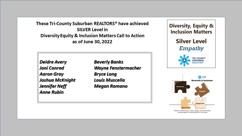 Diversity Equity and Inclusion Silver